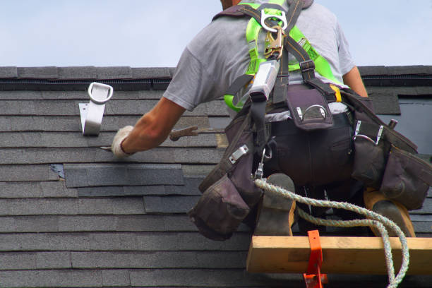 Professional Roofing Contractor in Eustis, FL