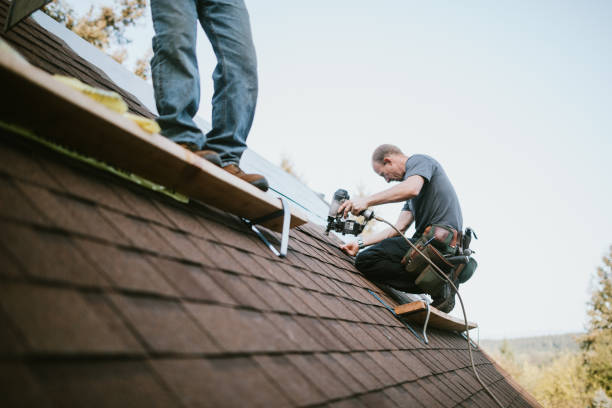 Best Roof Gutter Cleaning  in Eustis, FL